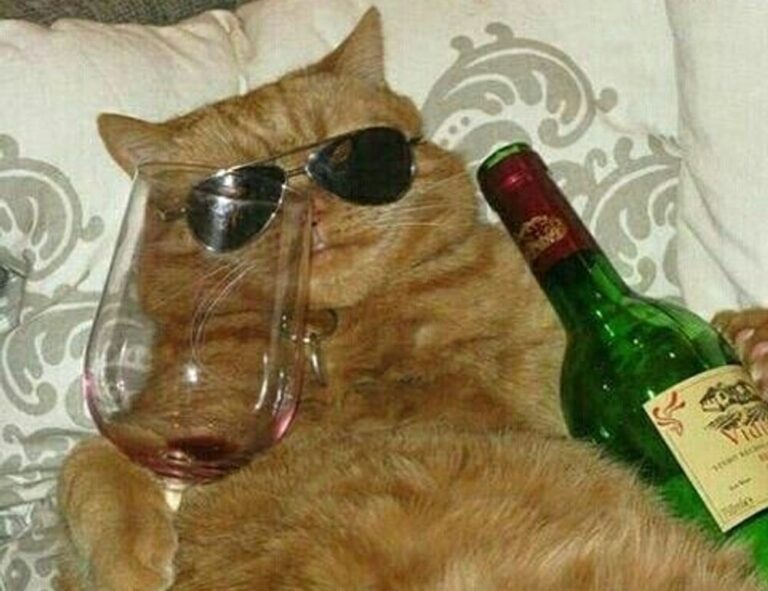 8tshare6a software download