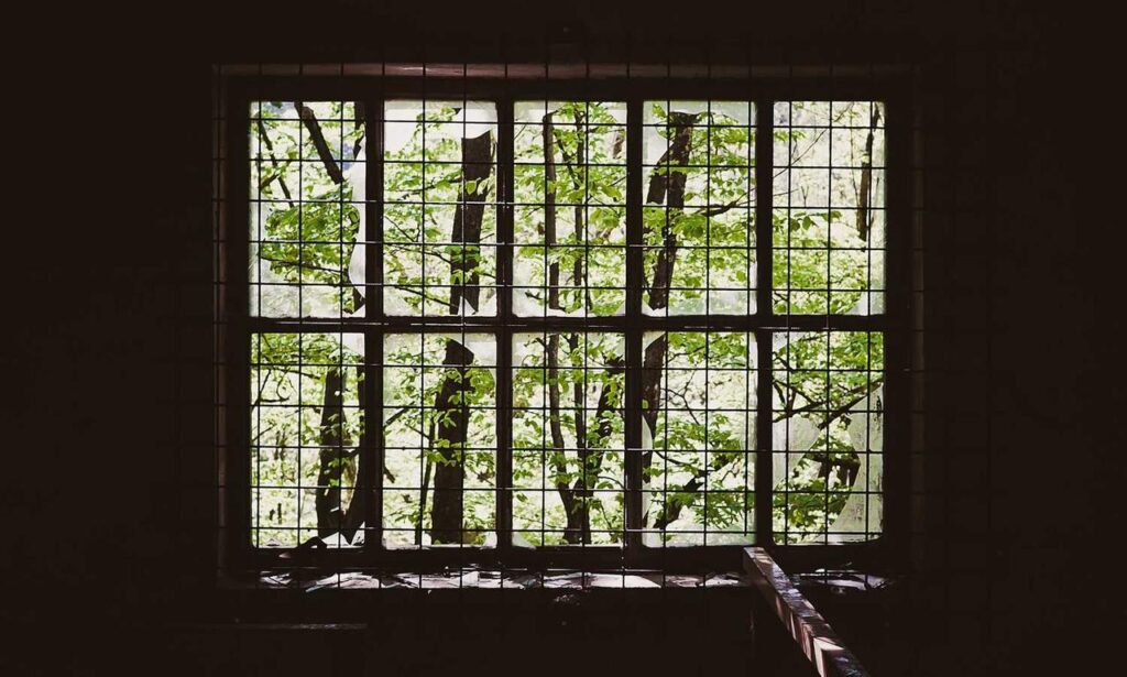 ingredients in wullkozvelex