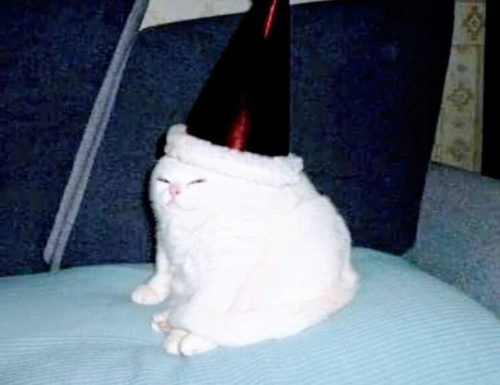 shade of velloworpenz