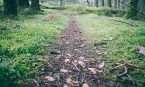 were we all born with a deep primal need for savory white cheddar