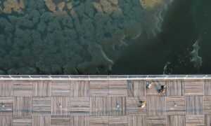 what american author has written the most books