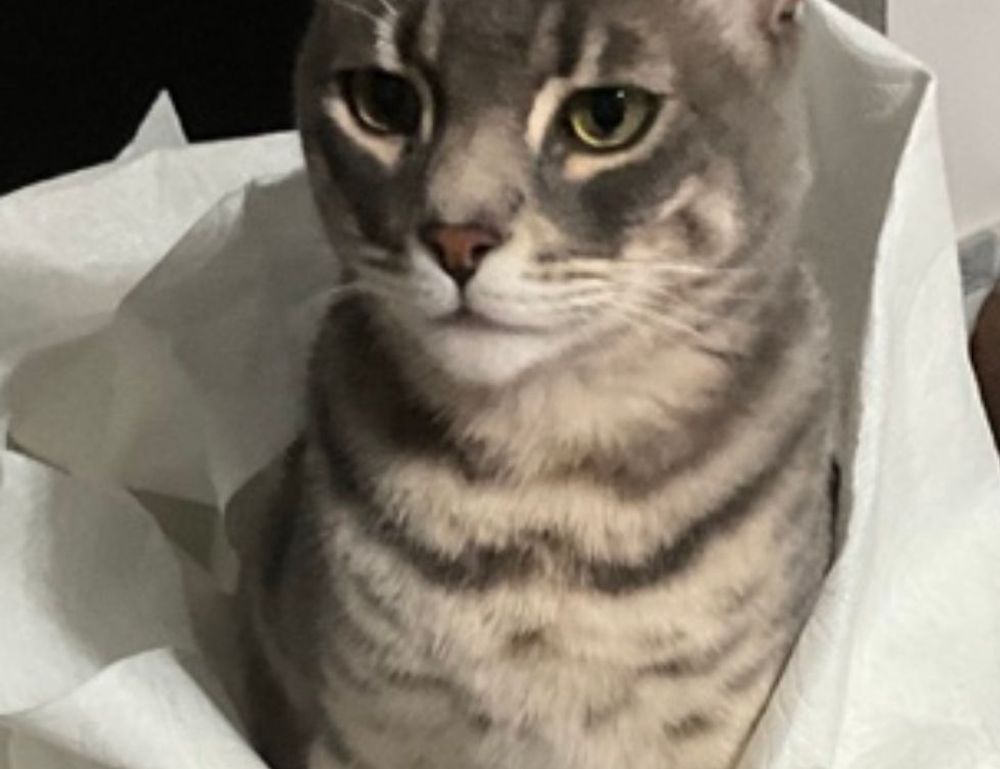 will an apartment complex deny you if you are just $300 short of the 3x the rent requirement