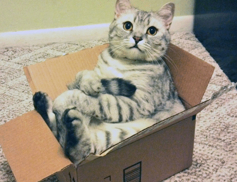 your call cannot be completed as the called party is busy