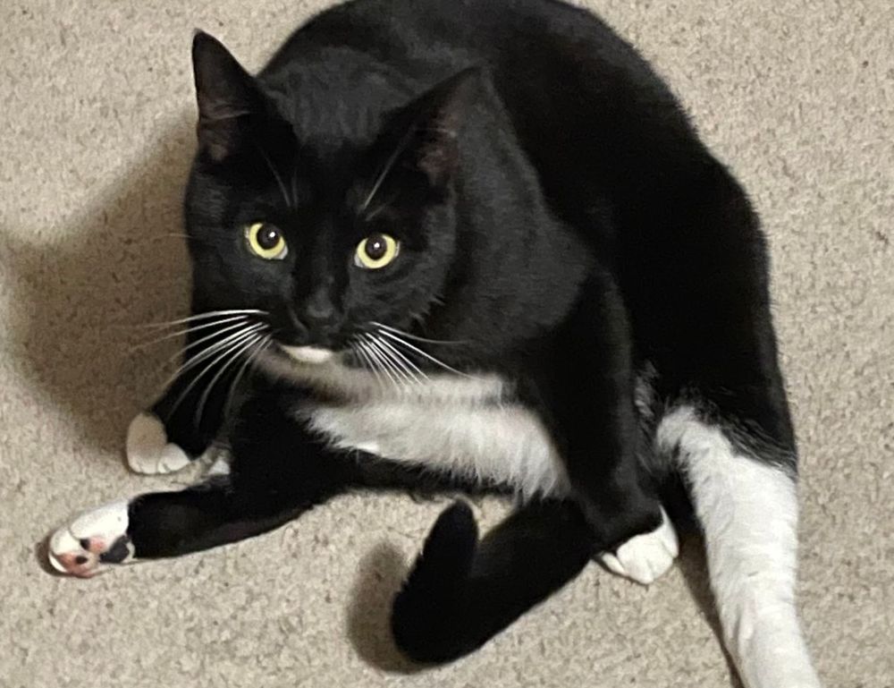 gallery paintings arcagallerdate