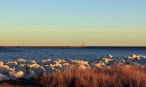 how can i create a logo for free flpemblemable