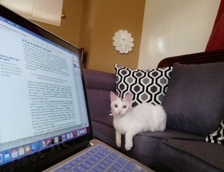 what is logo symbol flpemblemable