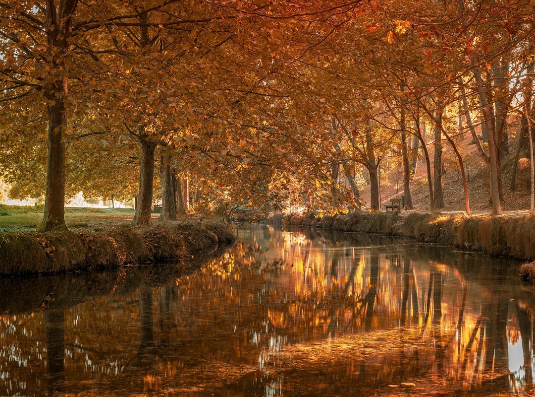 Dibujos de Personajes Famosos de Hombres para Colorear