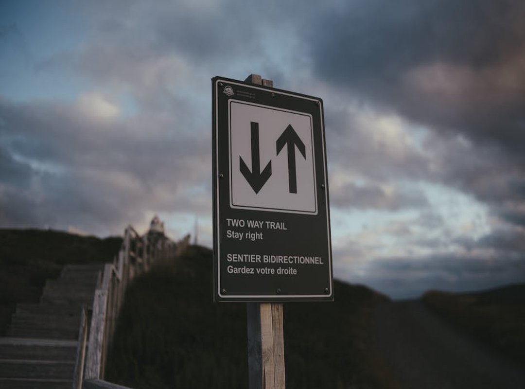 A Fan's Guide to Amplifying Her Work the Right Way