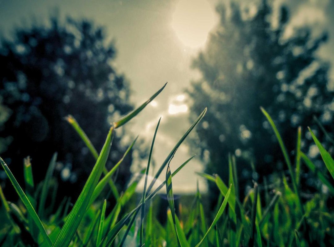 Warning Signs: How to Avoid Risky MP3 Download Sites