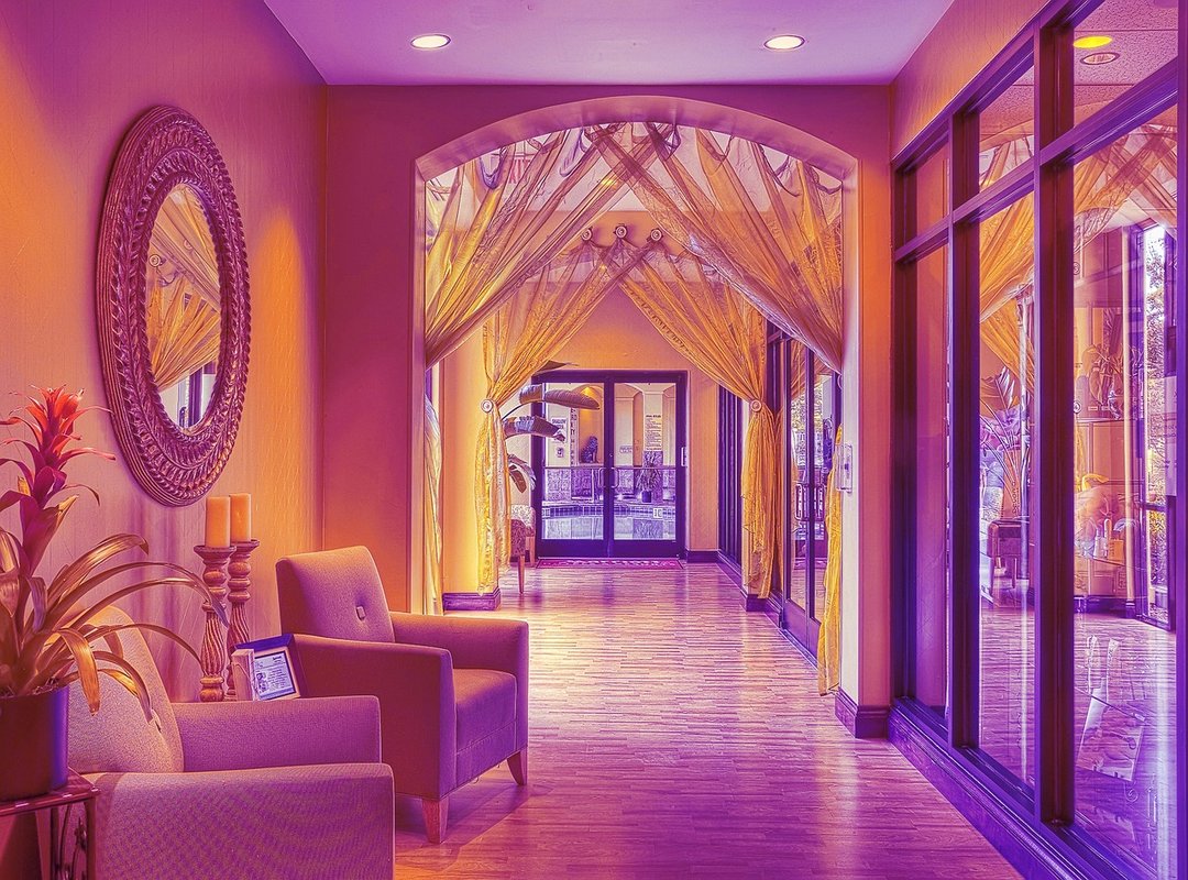 How to Use Bluey Bailando PNG Images in Your Projects