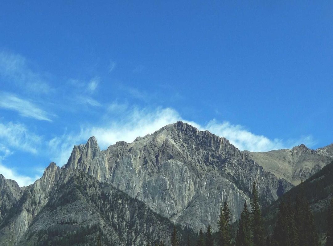 Jumbo vs. Standard: Which Buzzballz Size Offers the Best Value?