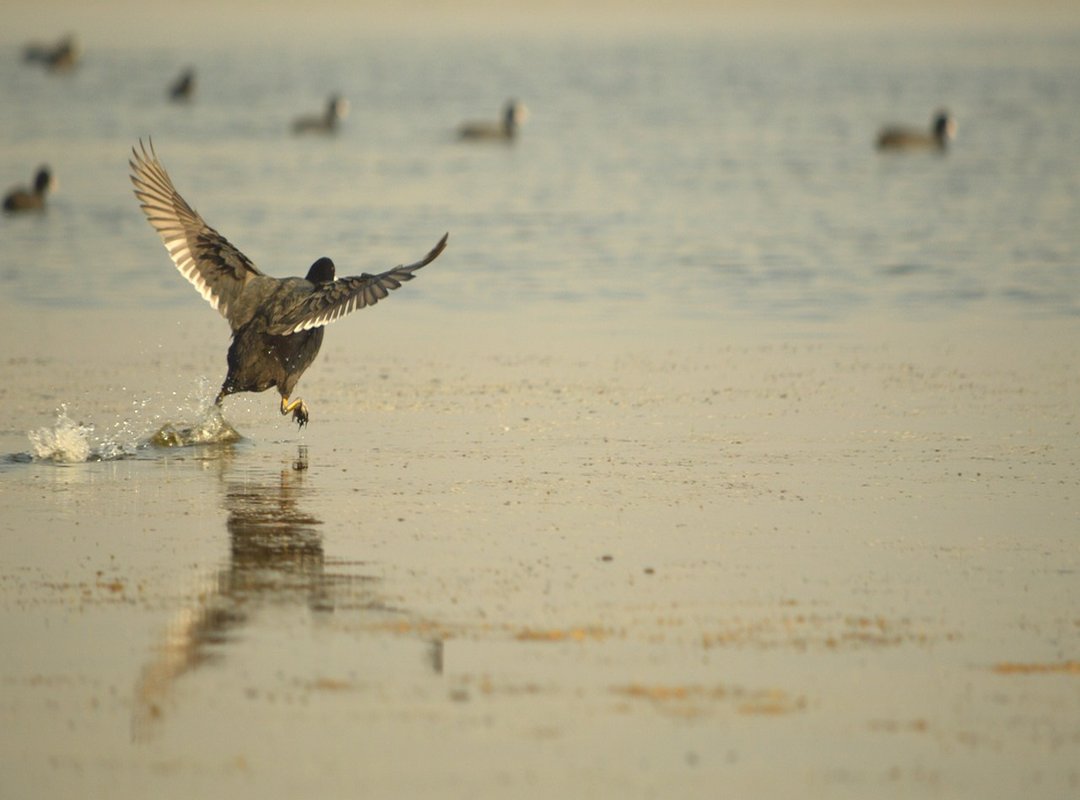 Common Myths and Fun Facts About the Gender Chart