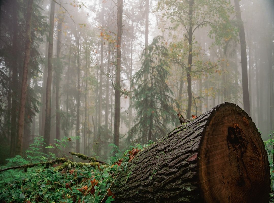 Key Features You Can Access After Logging In