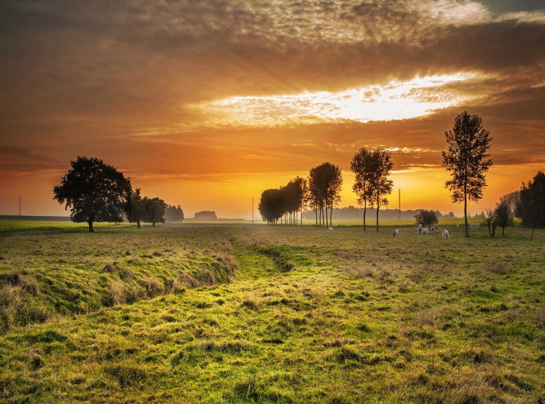 The Public Eye: Navigating Fame as a Female Athlete