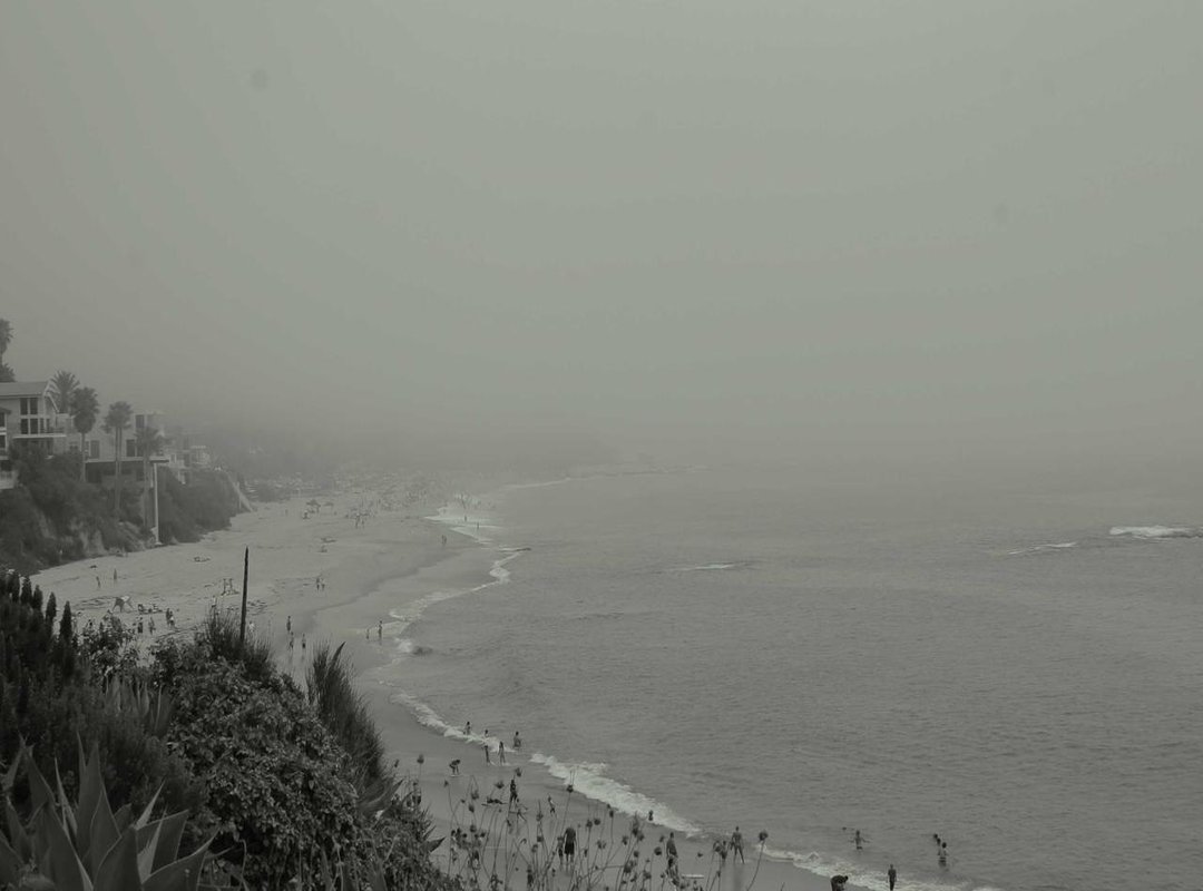 Life After the Separation: Where Are They Now?