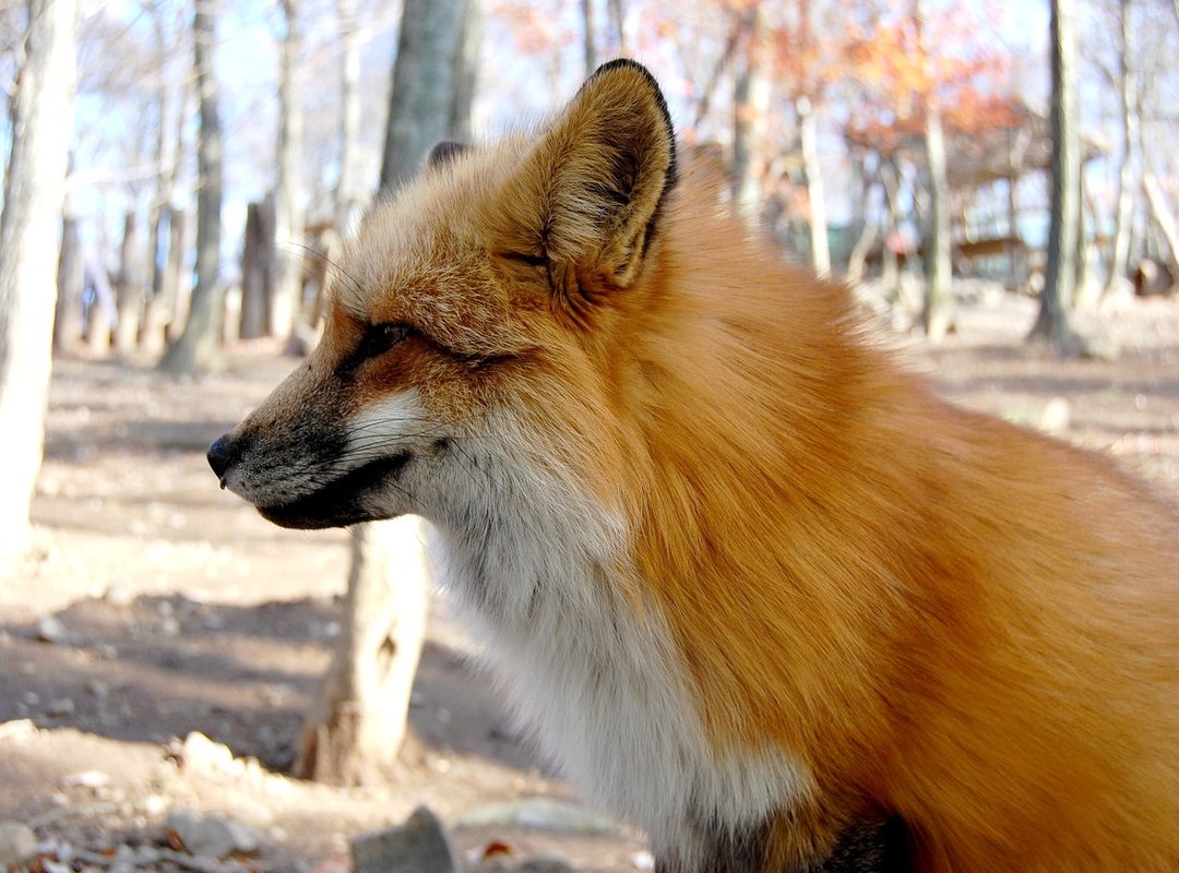 Where to Find the Perfect Hug GIF for Any Situation