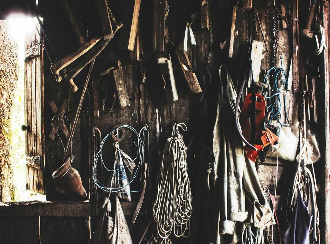 Top Picks: Best Peachy X Pebble Models