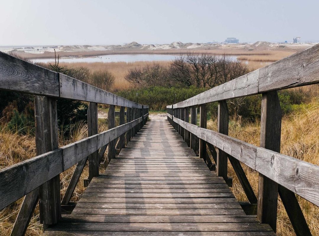 From Wallpapers to Crafts: Creative Ideas for Stitch Images