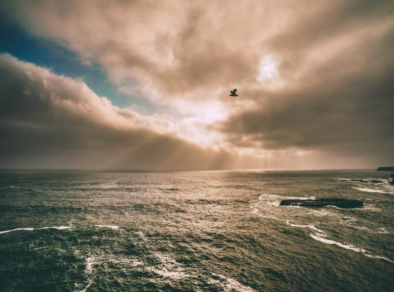 videogamesscz.github.io/videohost