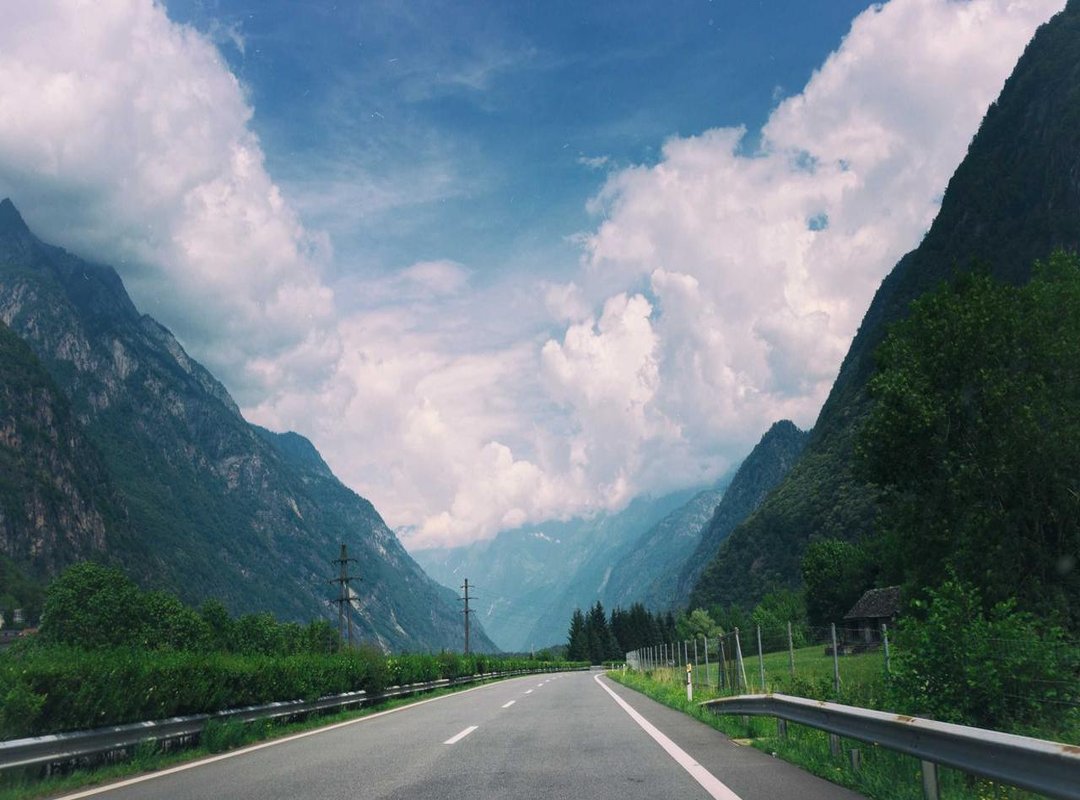 Fun Facts About the Gnu (The Real-Life Wildebeest)